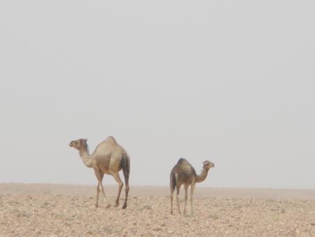 PETITE RENCONTRE TRES SYMPA 